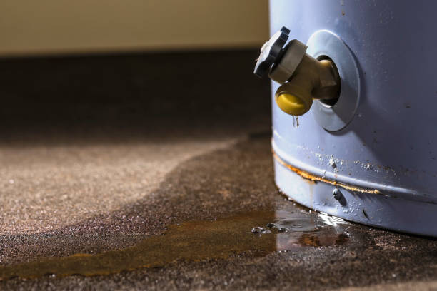 Best Water damage cleanup near me  in Lakeview, CA