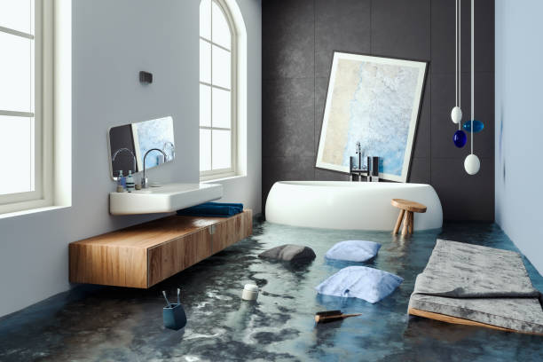 Best Mold removal after water damage  in Lakeview, CA