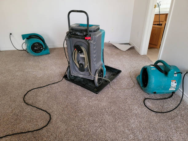 Carpet water damage restoration in Lakeview, CA