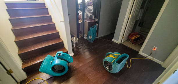 Best Residential water damage restoration  in Lakeview, CA