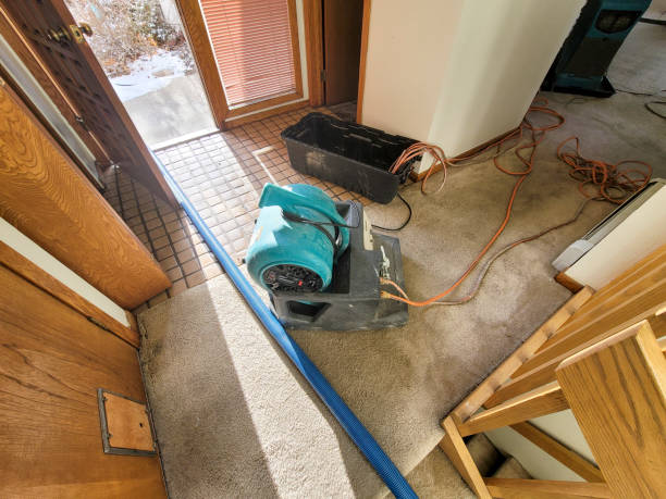 Best Flood damage cleanup  in Lakeview, CA