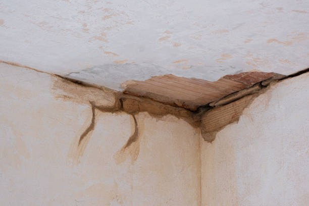 Best Basement water damage restoration  in Lakeview, CA