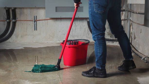 Best 24/7 water damage repair  in Lakeview, CA