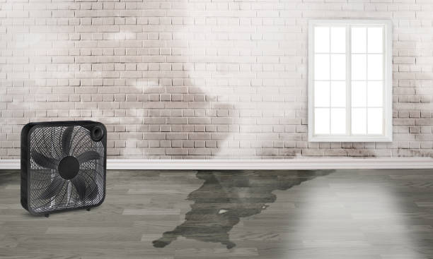 Best Sewage cleanup and water damage restoration  in Lakeview, CA
