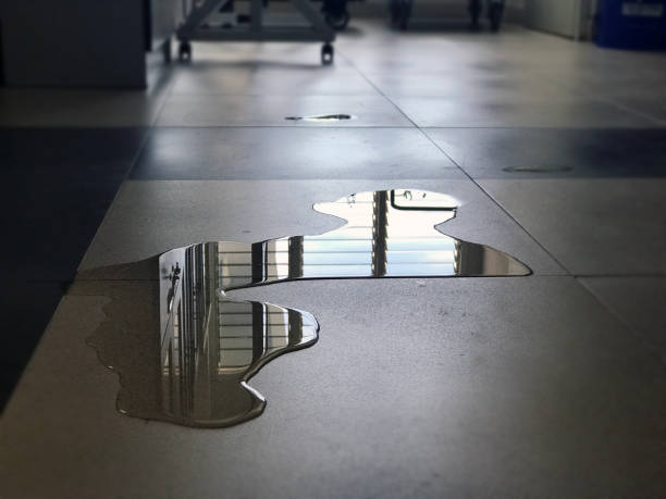 Best Water damage restoration experts  in Lakeview, CA