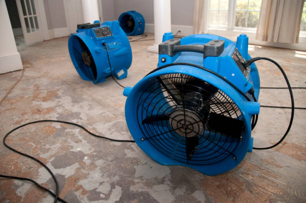 Best Water damage restoration near me  in Lakeview, CA