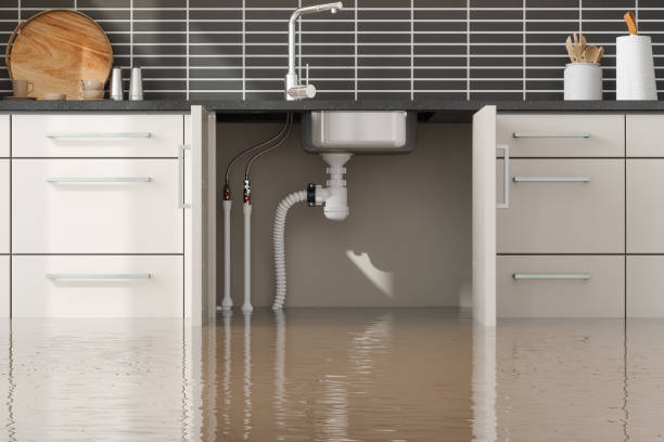 Best Carpet water damage restoration  in Lakeview, CA
