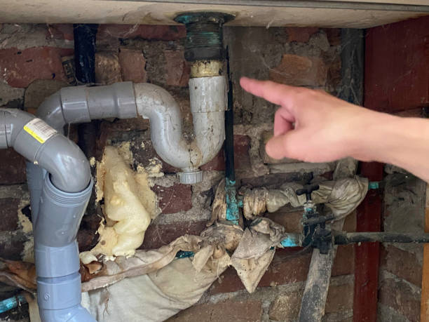 Best Ceiling water damage repair  in Lakeview, CA